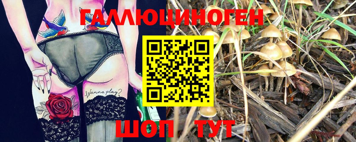 Галлюциногенные грибы ЛСД Кумертау
