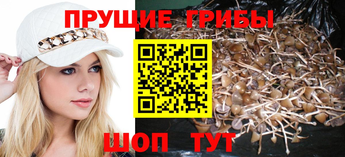 Кумертау  Галлюциногенные грибы мухоморы  Вход с VPN 